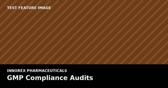GMP Compliance Audits: Preparing Your Documentation Before the Auditor Arrives